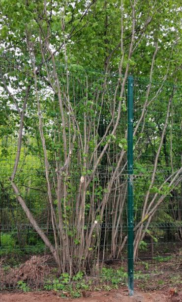 Фото ограждение из 3д панелей высотой 4 метра