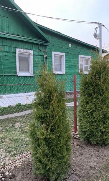 Фото забора для дачи из металлической сетки